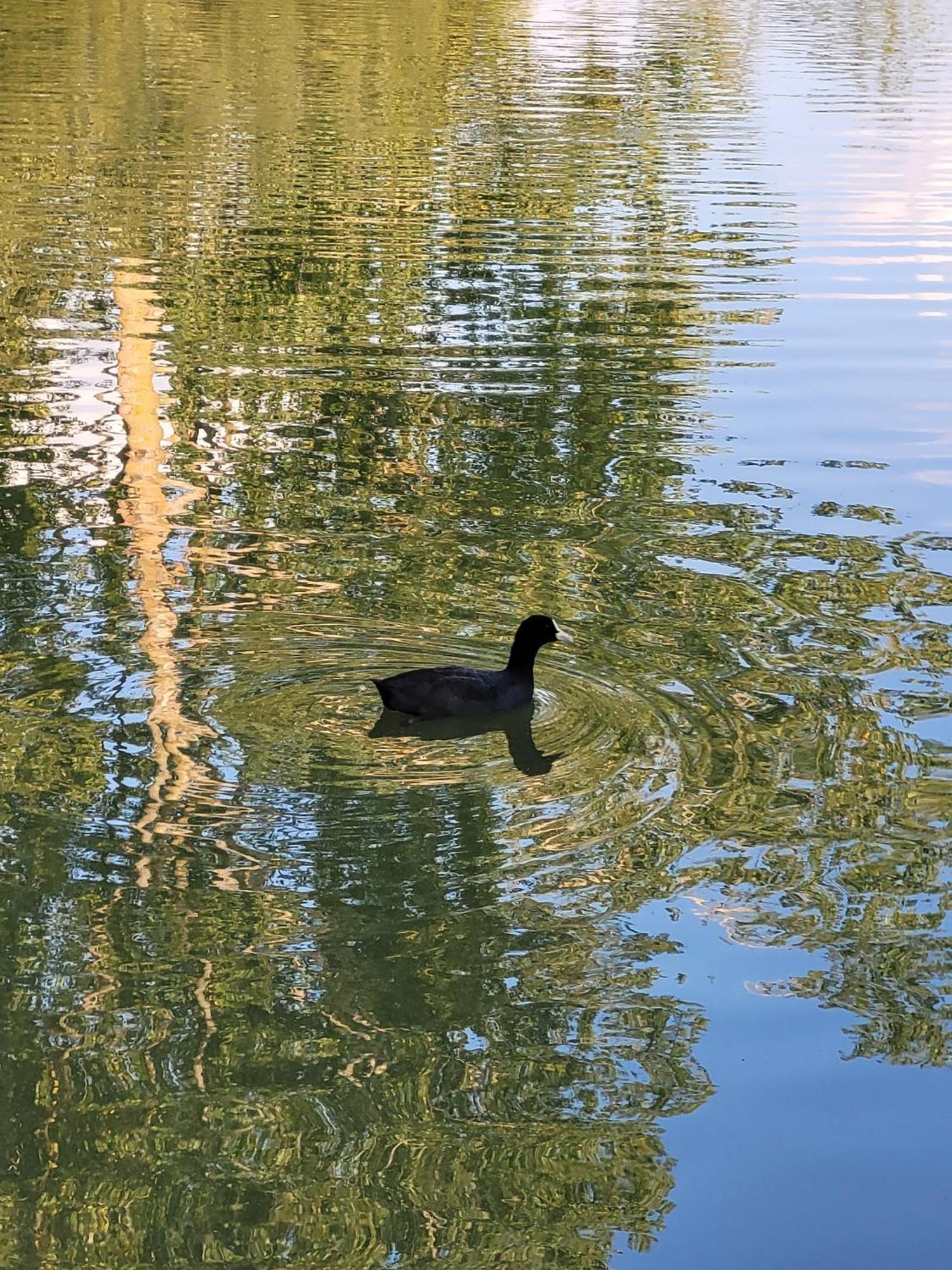 Résidence du Lac-PROCHE DISNEYLAND PARIS Émerainville Esterno foto